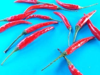 High angle view of red chili peppers on blue background