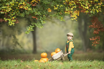 Boy carrying pumpkins on field during autumn