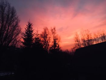 Silhouette trees in forest against orange sky