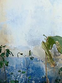 Leaves in pond