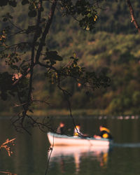 Close-up of plant against lake during sunset