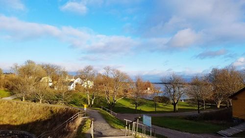 Road amidst bare trees against sky