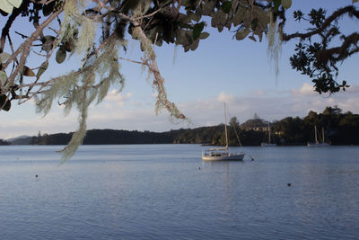 Scenic view of sea and trees against sky