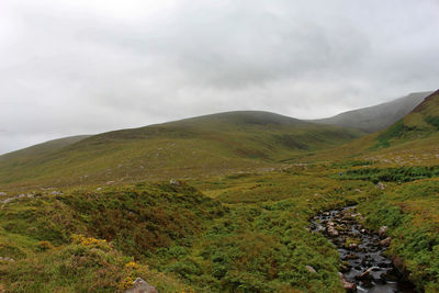 Scenic view of landscape against sky