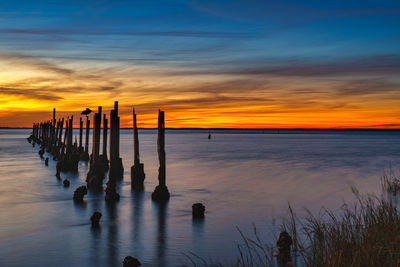 Sunset at st. marks wildlife refuge.  brown pelican standing on a post from a dilapidated pier.