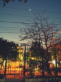 Silhouette of trees at night