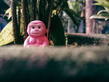 Close-up of pink toy in park