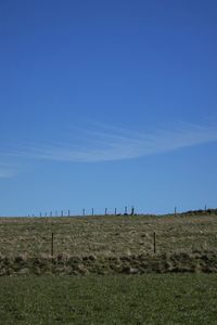 Scenic view of grassy field against cloudy sky