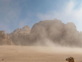 Riding on camel in sandstorm in  wadi rum 