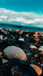 sea