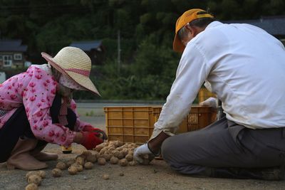 Couples picking potatoes at roadside