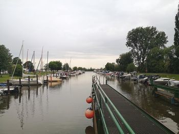 Sailboats moored in river against sky