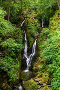 Stock ghyll force waterfall in the lake district national park