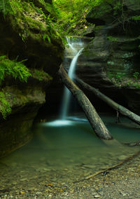 Scenic view of waterfall in forest