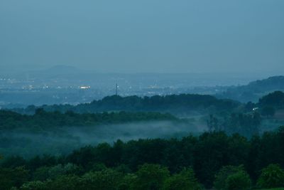 Scenic view of forest against sky