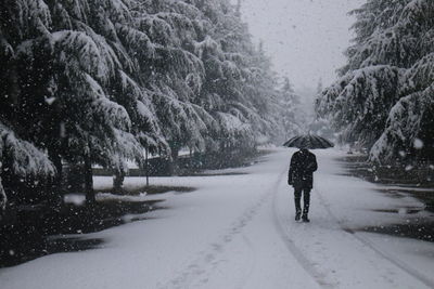 Rear view of man with umbrella walking on snow covered road