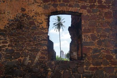 View of tree and sky through old wall