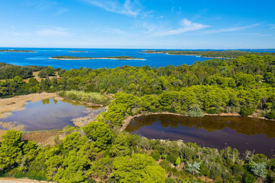 Aerial view of saline salt marsh on brijuni national park