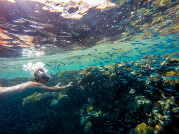 Shirtless teenage boy snorkeling in sea