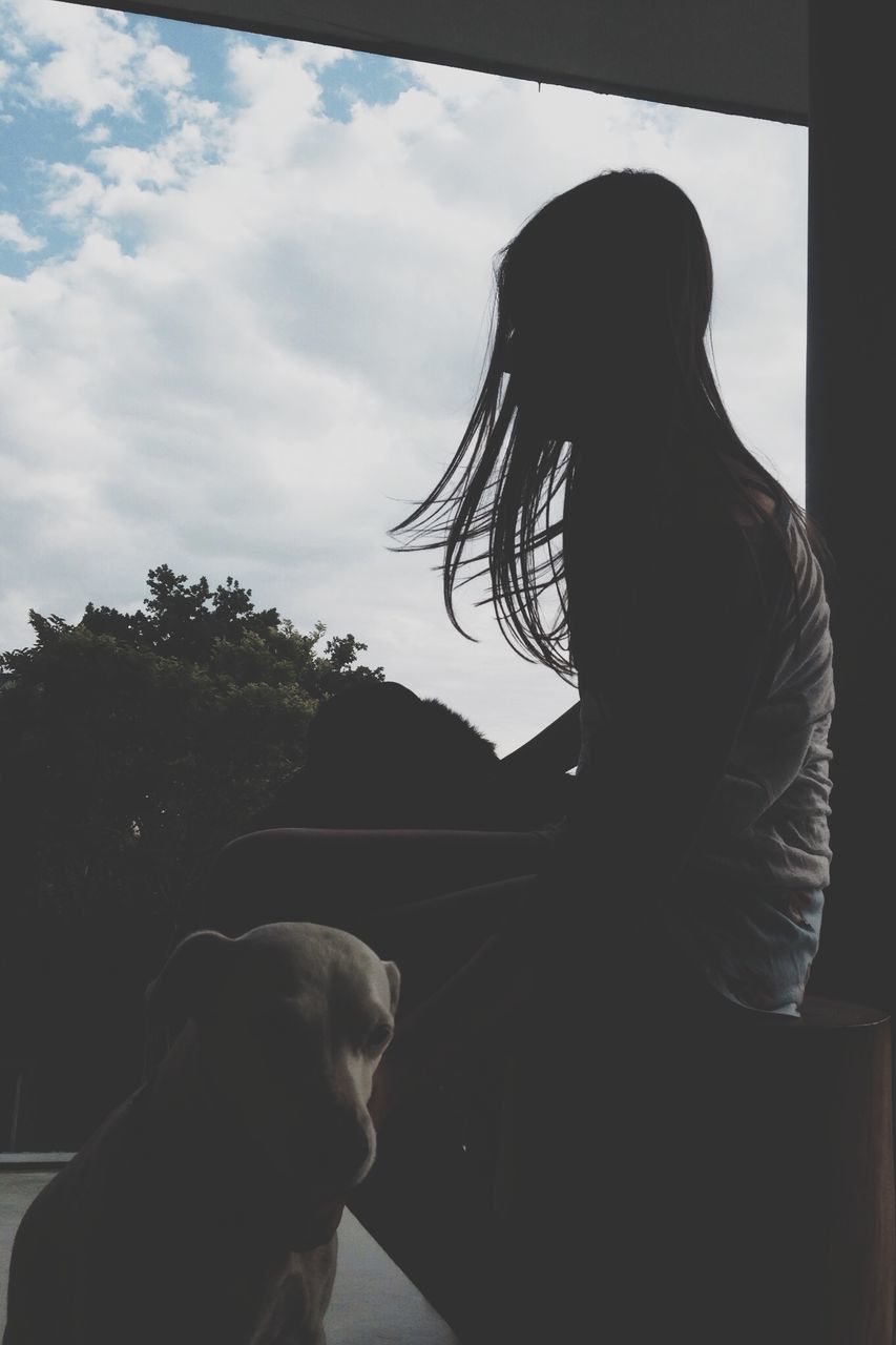 one animal, domestic animals, animal themes, sky, mammal, pets, dog, side view, silhouette, rear view, horse, headshot, cloud, lifestyles, looking away, cloud - sky, leisure activity, part of