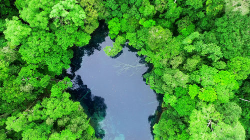 High angle view of lake