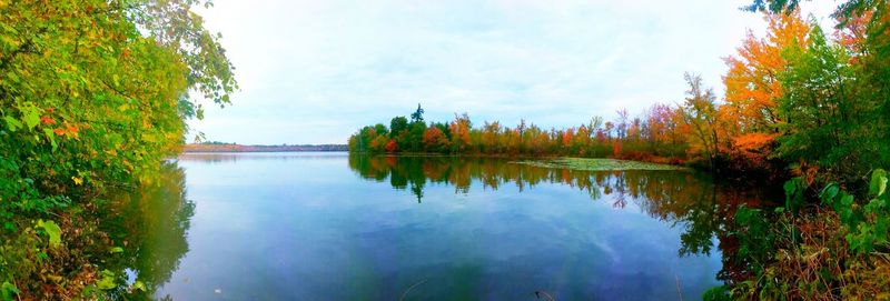 Reflection of trees in calm lake