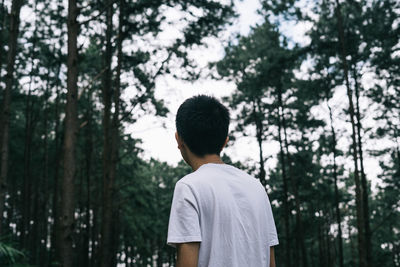 Rear view of man standing in forest