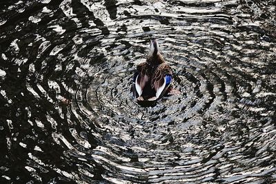 View of water in water