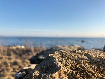 Surface level of rocks on beach against clear sky