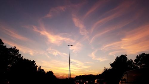 Low angle view of silhouette trees against orange sky