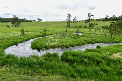 Scenic view of stream on field against sky