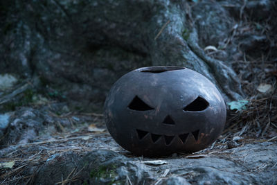 Close-up of face on rock