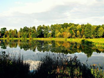 Scenic view of lake in forest against sky