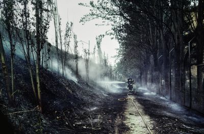 Man riding bicycle on road amidst trees