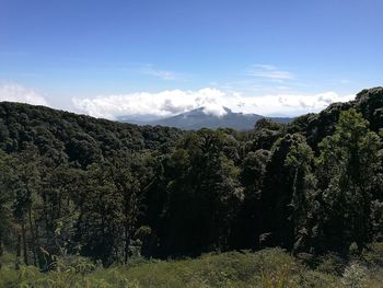 Scenic view of tree mountains against sky