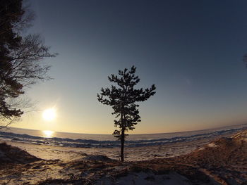 Tree on snow covered landscape against clear sky