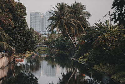 Reflection of trees in lake against sky in city