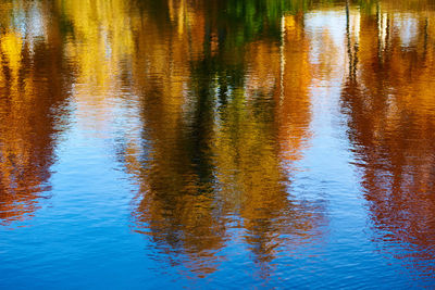 Reflection of trees in lake