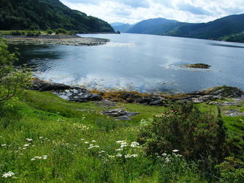 Scenic view of lake and mountains against sky