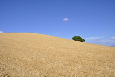 Scenic view of field against clear blue sky