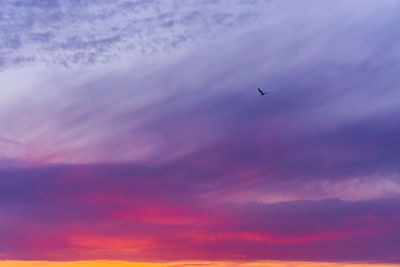 Low angle view of airplane flying in sky