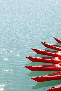 High angle view of red floating on water