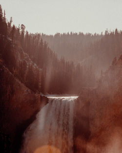Scenic view of waterfall in forest against sky