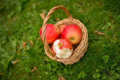 High angle view of apples in basket on field