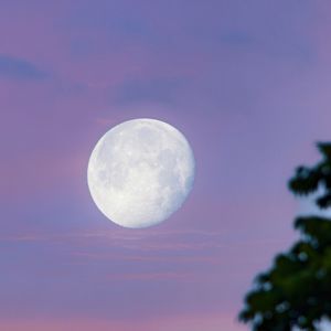 Low angle view of moon against sky at night