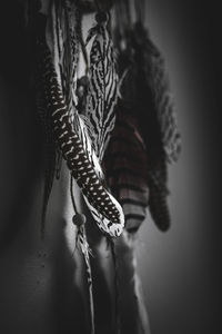 Close-up of woman hanging on rope against wall