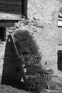 Stone wall of old building