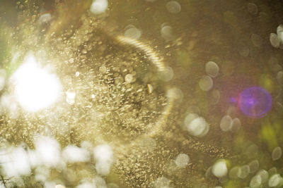 Close-up of water drops on glass