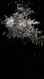 Fireworks exploding at night