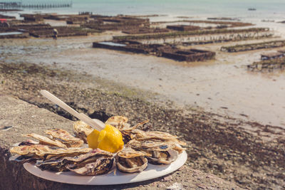 Close-up of food in plate at beach